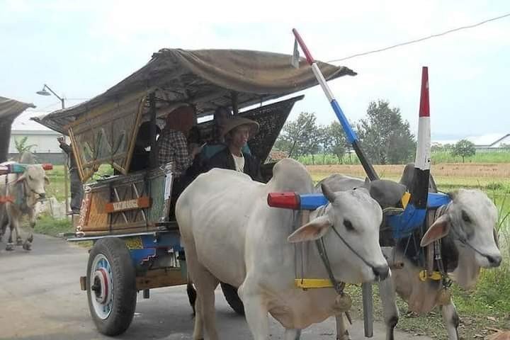 Transportation from the Past